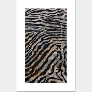 marbled zebra Posters and Art